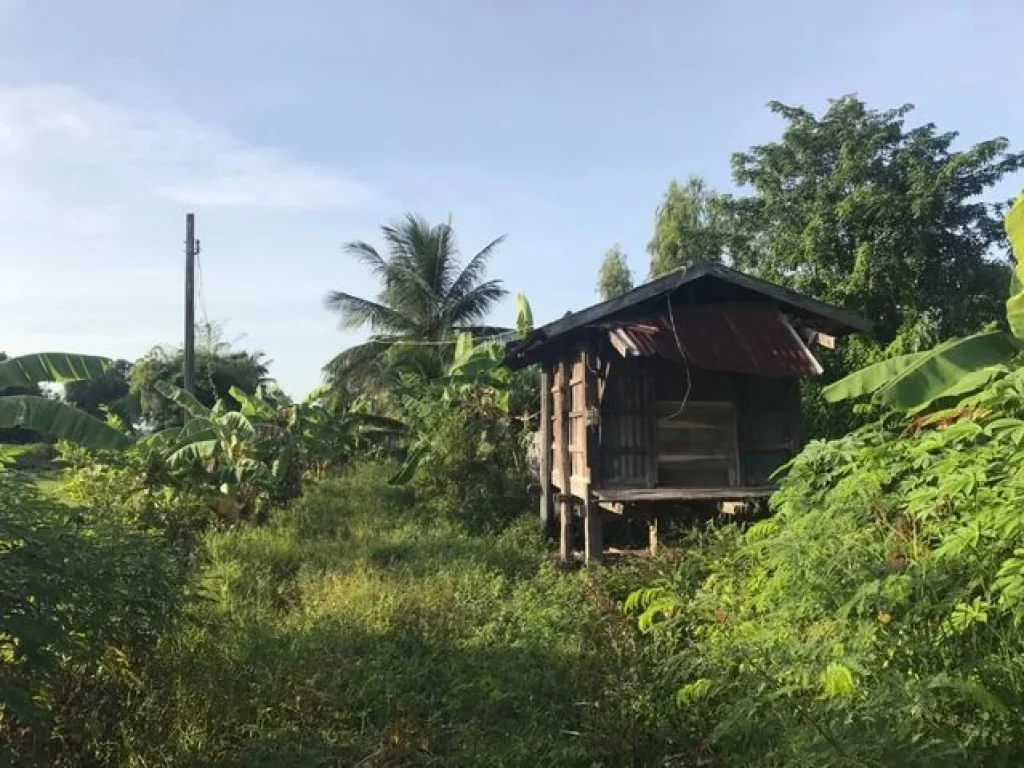 ที่ดินเป็นแปลงเกษตร ไร่นาสวนผสม