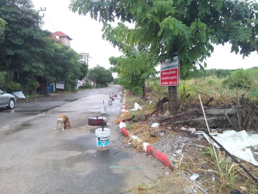 ปล่อยเช่าที่ดินสหการประมูล 4 ไร่ 2 งาน ถประชาอุทิศ ซอยสหการประมูล