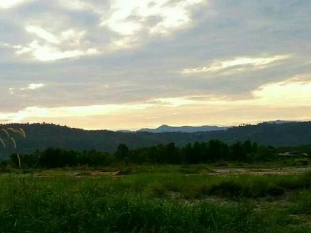 ขายที่ดิน พร้อมชายหาดส่วนตัว สวยมากๆ อเมือง จตราด