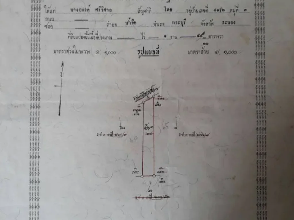 ขายที่ดินเปล่า อกระบุรี จระนอง