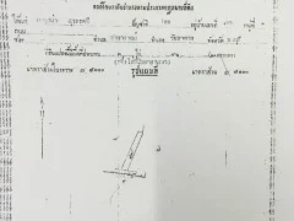 ขายที่ดินเปล่า อำนาจเจริญ 1400 ตรว ออกทุกอย่างให้หมด 3ไร่ 2งาน เจ้าของขายเอง