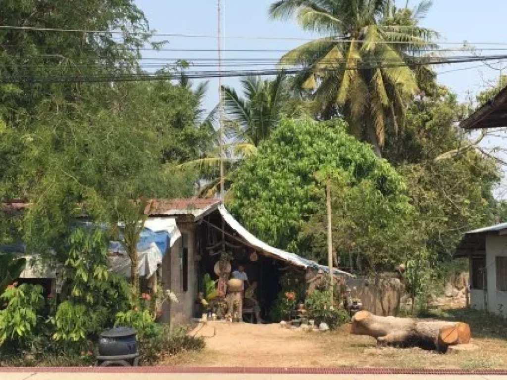 ขายที่ดินเปล่า อำนาจเจริญ 1400 ตรว ออกทุกอย่างให้หมด 3ไร่ 2งาน เจ้าของขายเอง