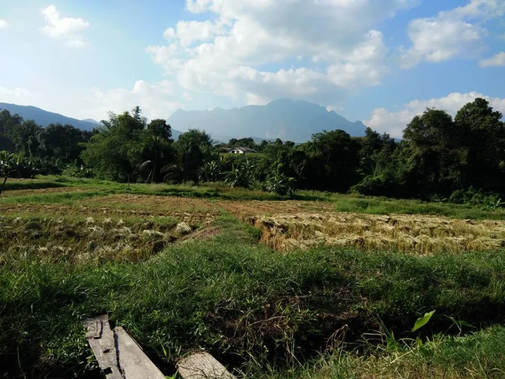 ขายที่ดินติดลำเหมืองและลำห้วยวิวดอยหลวง