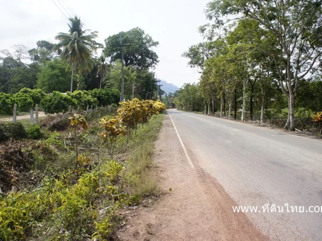 ขายสวนผลไม้ อมะขาม-จันทบุรี 51ไร่ รหัส3290