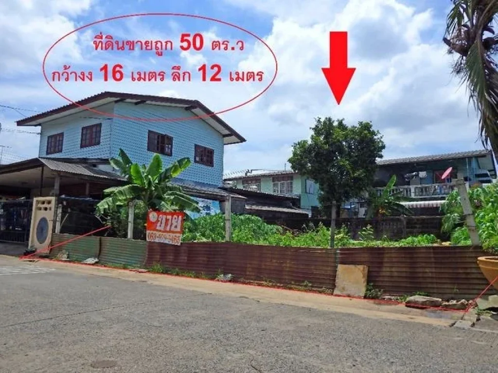 NS101 ขาย ที่ดิน ลำลูกกา 27 - 50 ตรว หันหน้าทิศตะวันออก 1500000 บาท