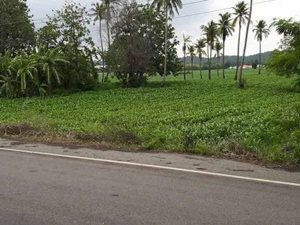 ขายที่ดิน ทำเลดี อพระพุทธบาท