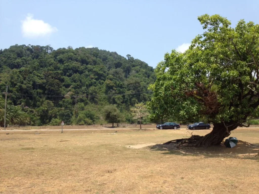 ขายที่ดิน จำนวน 18 ไร่ ติดชายหาดบางเบน อกะเปอร์ จระนอง