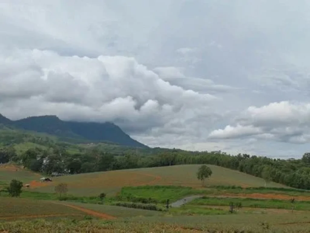 ขายที่ดิน เขาค้อ เพชรบูรณ์ วิว สวย แนว valley เหมาะสำหรับ ทำบ้านพักตากอากาศ แคมป์สน