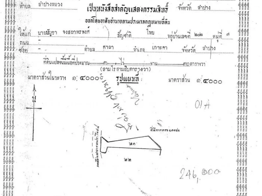 ขายที่ดิน 18 ไร่ 1 งานพร้อมต้นอินทผลัม 1000 ต้น