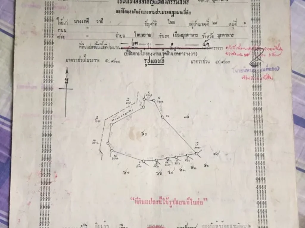 ที่ดินเปล่า 3แปลงรวม 10ไร่3งาน66ตรว 25ล้าน