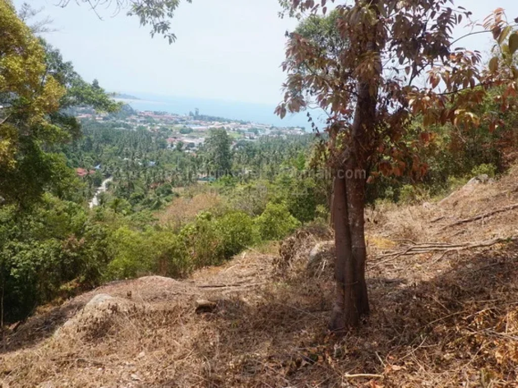 ขาย ที่ดิน เกาะสมุย 1 ไร่ วิวทะเล ใกล้หาดละไม 55 ล้านบาท