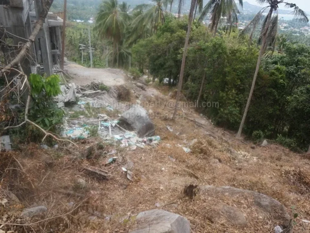 ขาย ที่ดิน เกาะสมุย 1 ไร่ วิวทะเล ใกล้หาดละไม 55 ล้านบาท