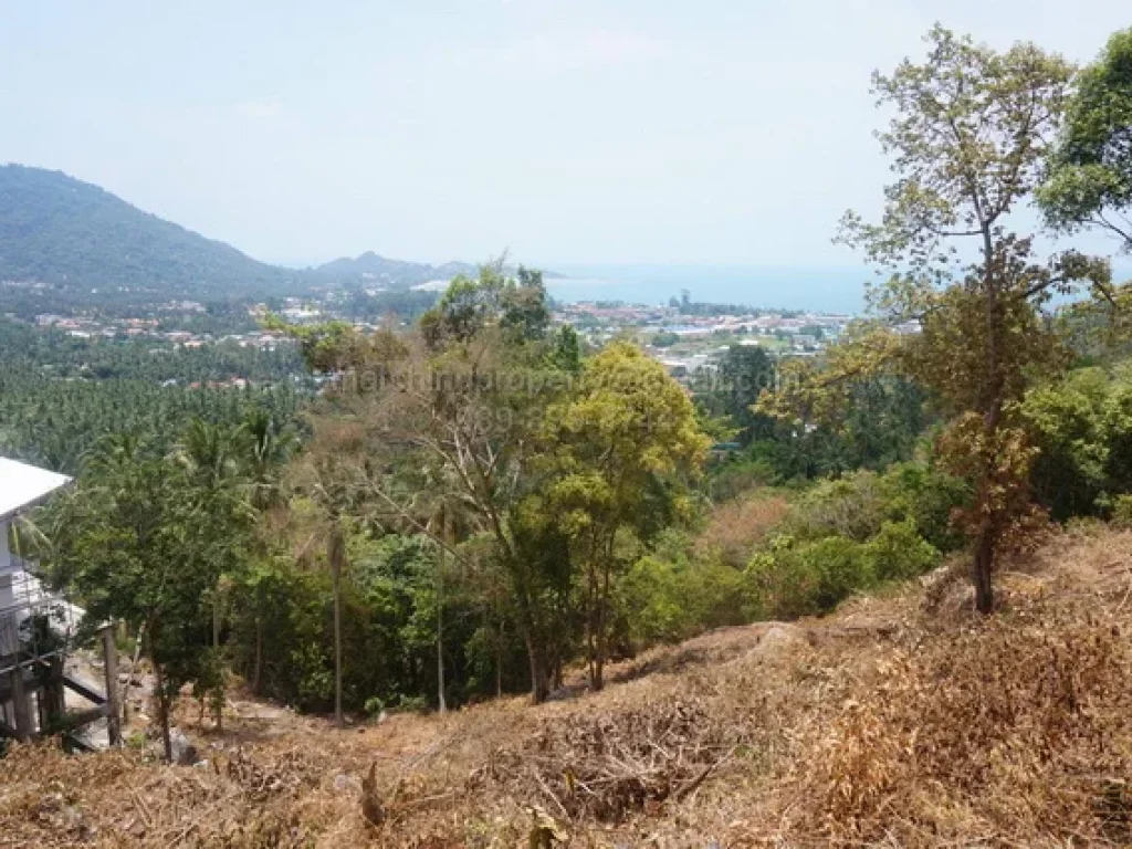 ขาย ที่ดิน เกาะสมุย 1 ไร่ วิวทะเล ใกล้หาดละไม 55 ล้านบาท