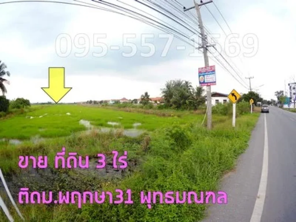 ต้องการขาย ที่ดิน 3ไร่ ลานตากฟ้า-ดาวทอง เขตพุทธมณฑล นครปฐม ติด มพฤกษา31 ทำเลชุมชน