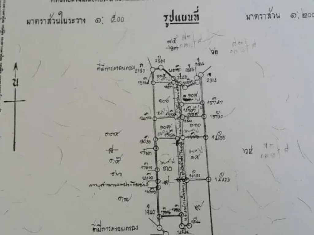 ที่ดินเนื้อ 1 ไร่กว่าๆใน อเมืองปัตตานี