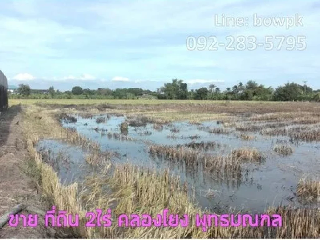 ที่ดินคลองโยง พุทธมณฑล 3ไร่ ติดถนน 2ด้าน ใกล้สนามกอล์ฟ รอยัลเจมส์ ศาลายา