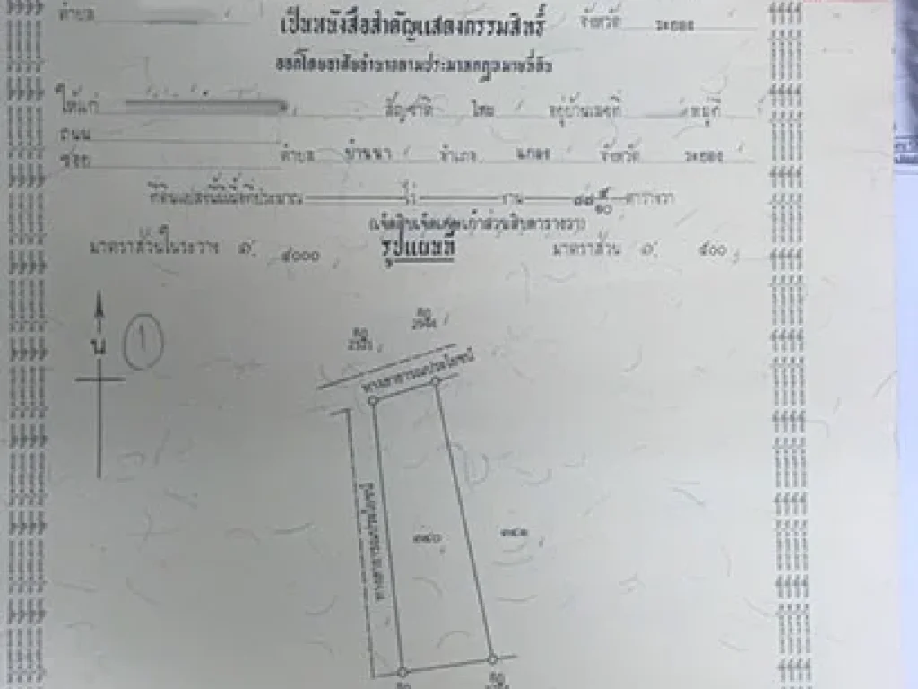 ขายที่ดินในสวนยางพารา พร้อมบ้าน เนื้อที่ 779 ตารางวา ตบ้านนา อแกลง ระยอง