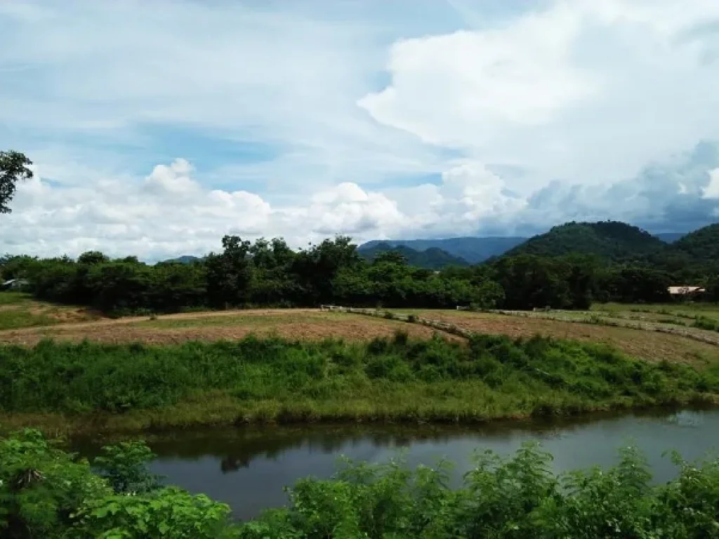 ขายรีสอร์เขาใหญ่อปากช่อง ตพญาเย็น บโนนกระโดน ที่โฉนด 60ไร่ขายไร่ละ5ล้าน