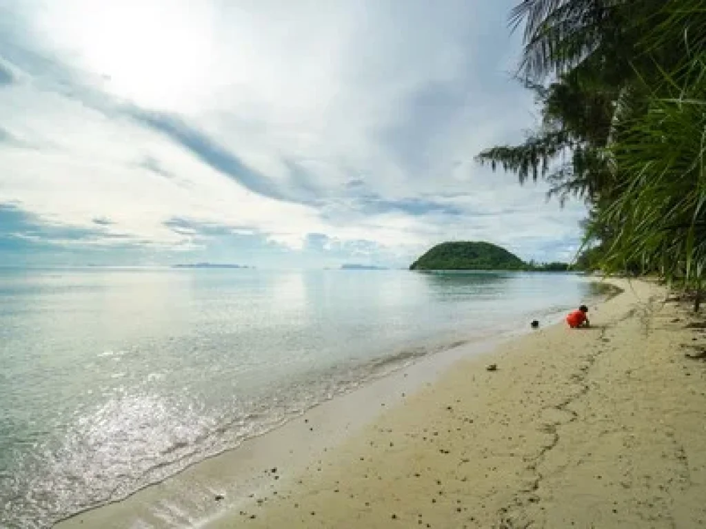 บ้านให้เช่า ติดหาดบางมะขาม อเกาะสมุย สุราษฎร์ธานี เฟอร์ครบ มีครัว เงียบสงบ ไม่ไกลจากท่าเรือหน้าทอน