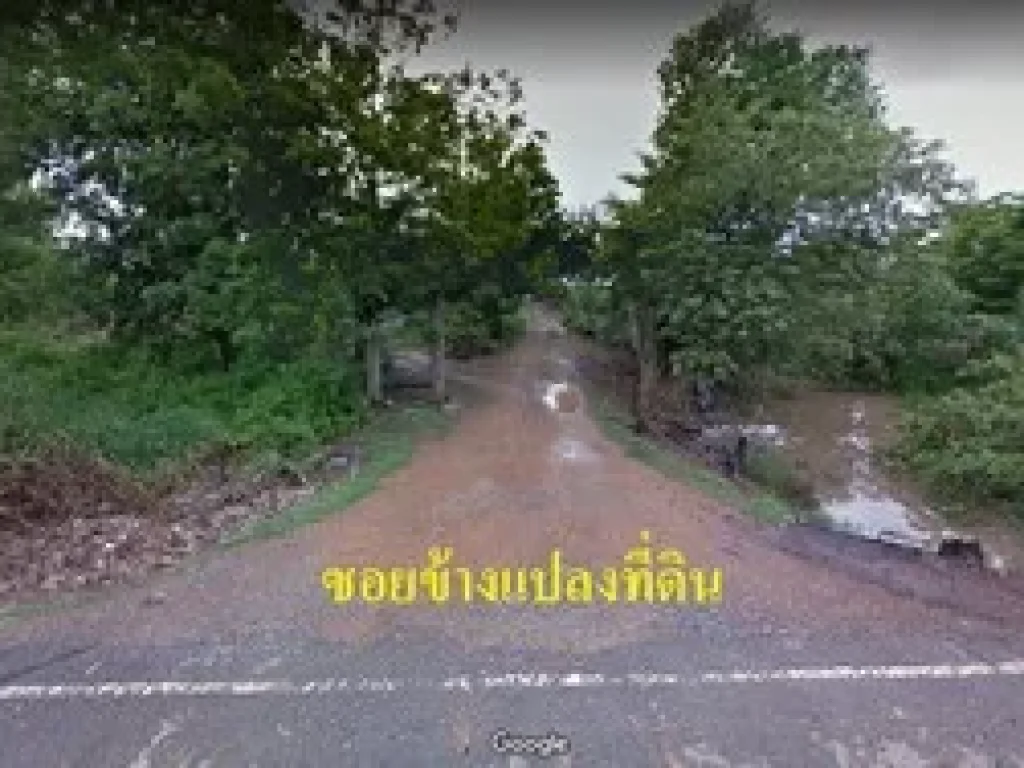 ขายที่ดิน คลอง11 หนองเสือ จำนวน 118 ไร่ ราคาถูกติดถนน เรียบคลอง11 ใกล้กับวัดป่า