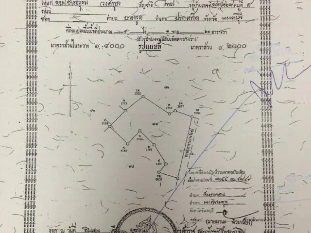 ขายสวนยาง 10 ปี 9 ไร่ อ เขาคิชฌกูฎ จจันทบุรี