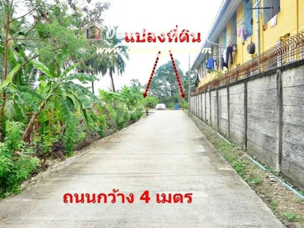 ขายที่ดิน 2 แปลง งิ้วราย ศาลายา เข้าซอย 40 เมตร ใกล้เชตวันรีสอร์ท เป็นพื้นที่สีชมพู ทำโรงงานได้