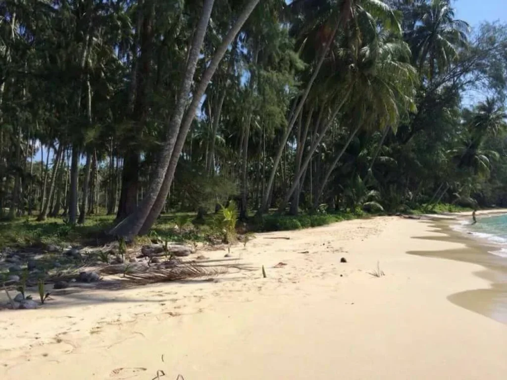 ขายที่ดินติดทะเล อ เกาะกูด หาดตะเภา