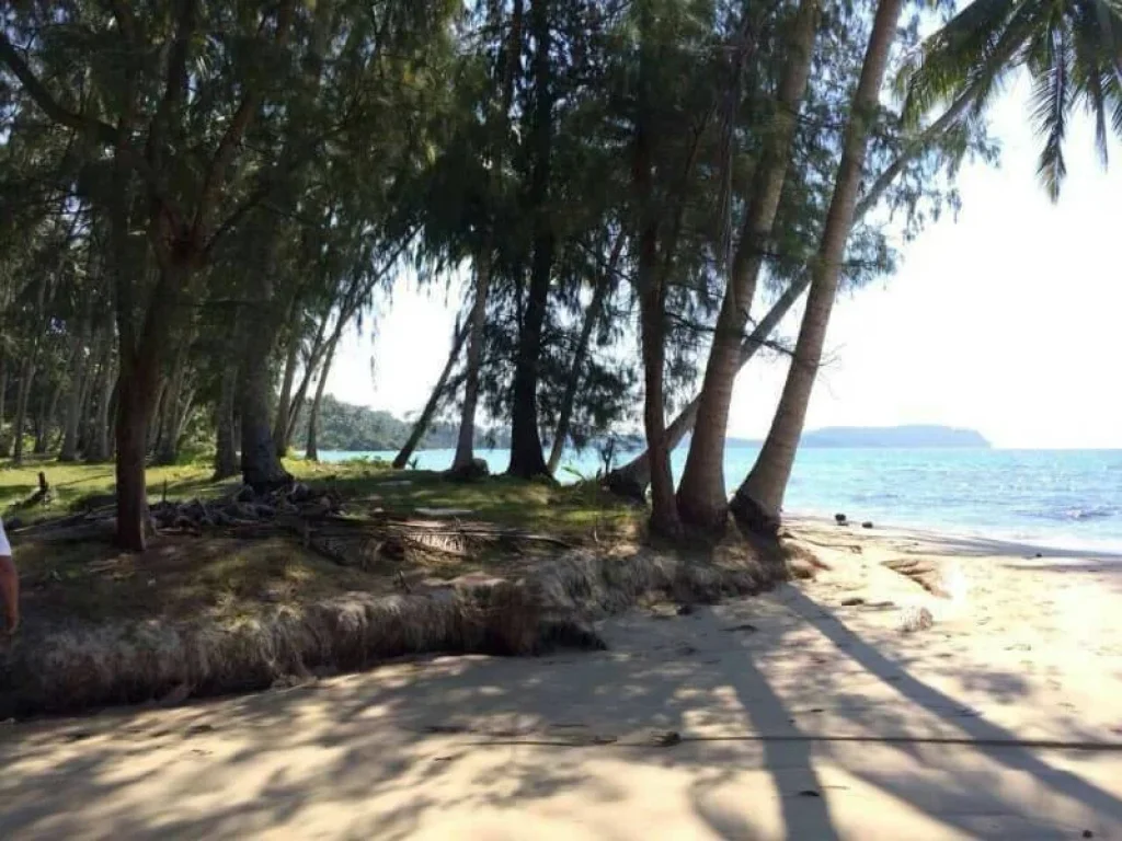 ขายที่ดินติดทะเล อ เกาะกูด หาดตะเภา