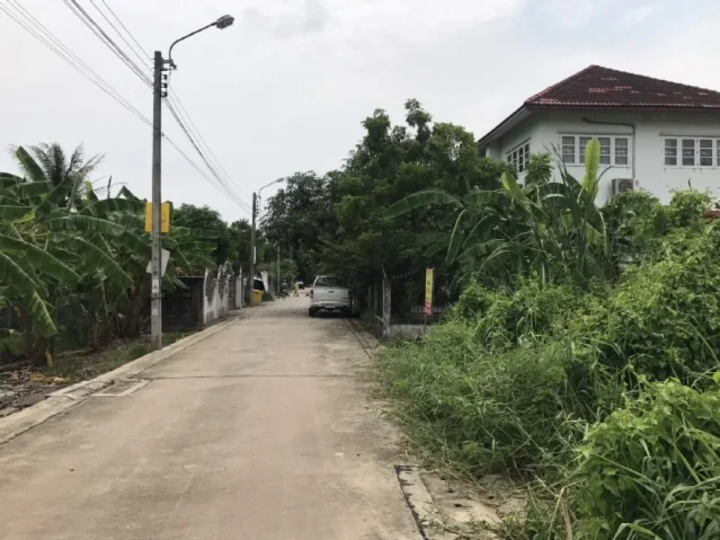 ขายที่ดินสวยเหมาะกับการปลูกบ้าน 100 ตรวที่ดินสวยติดถนน บรรยากาศดี