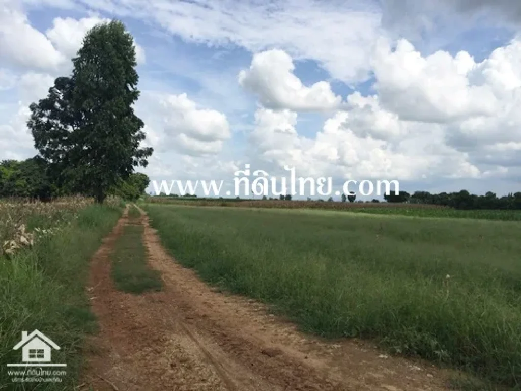 ขายที่ดิน 13-2-0 ไร่ ตบ่อทอง อหนองม่วง จลพบุรี รหัส 3731