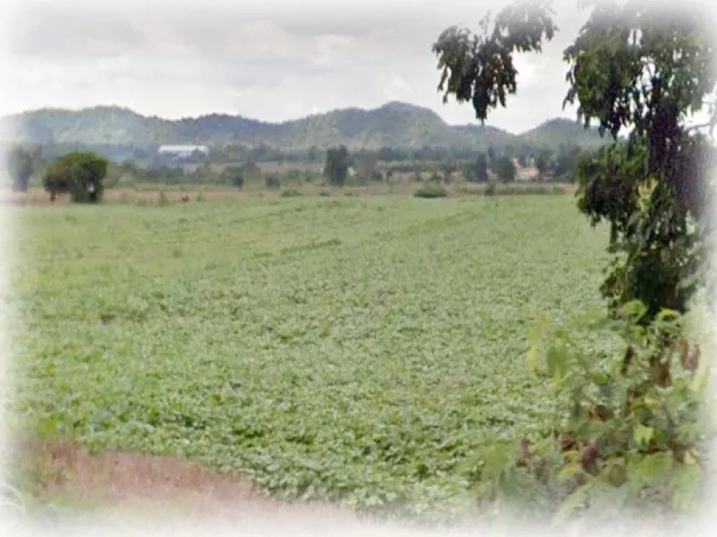 ขายที่ดิน 11 ไร่ ติดถนนดำ อพระพุทธบาท