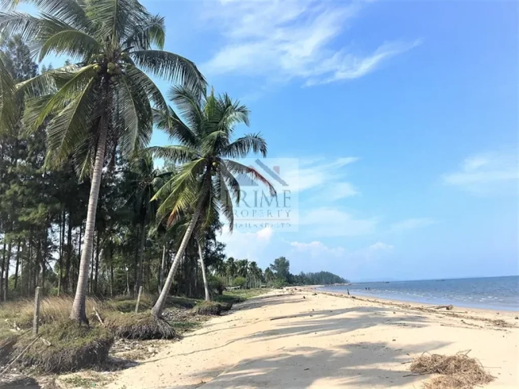 ที่สวยติดถนนติดชายหาด มีโฉนด