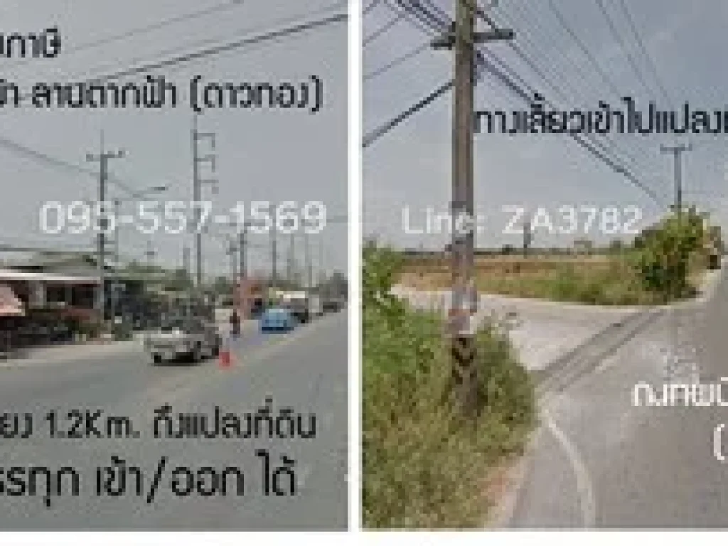 ที่ดิน 25ไร่ ลานตากฟ้า ถดาวทอง รูปแปลงสี่เหลี่ยม จากเส้นหลักถศาลายา-บางภาษี เดินทาง 12Km