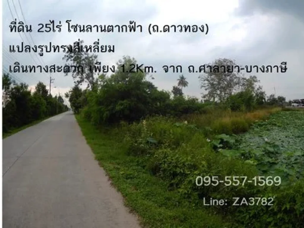 ที่ดิน 25ไร่ ลานตากฟ้า ถดาวทอง รูปแปลงสี่เหลี่ยม จากเส้นหลักถศาลายา-บางภาษี เดินทาง 12Km