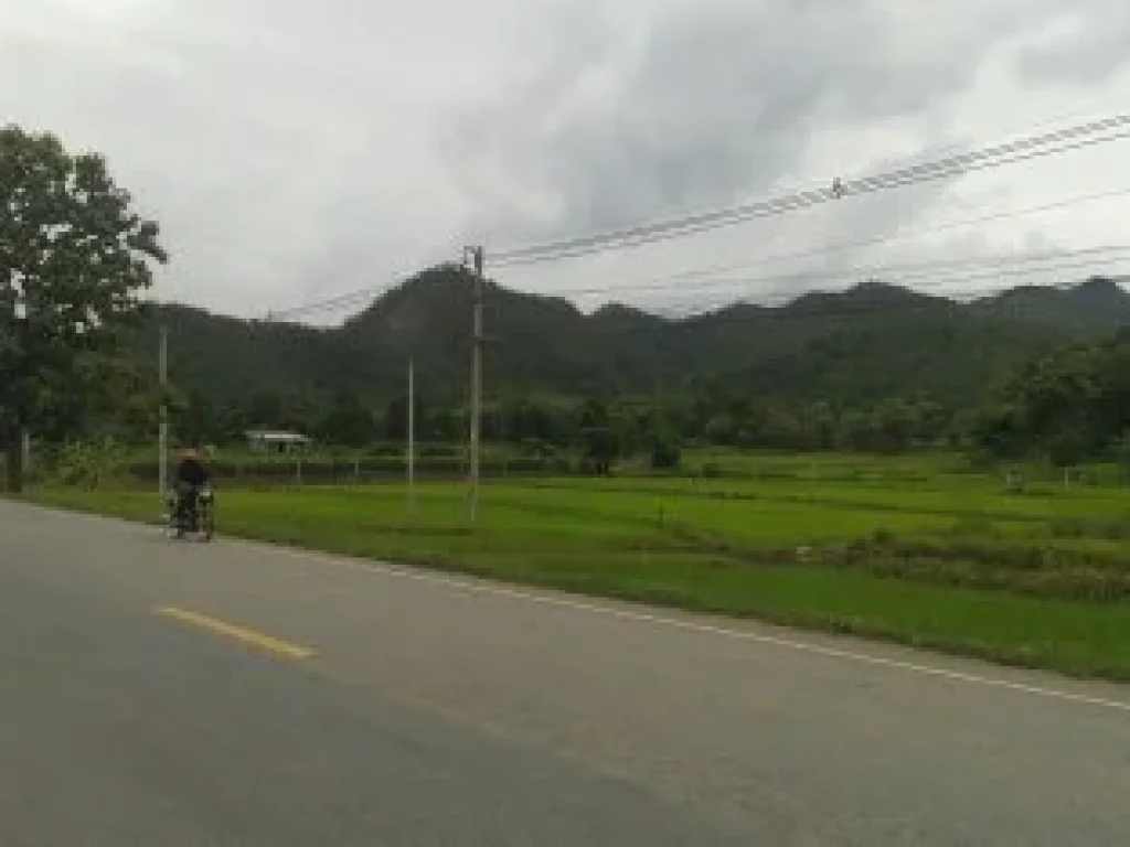 ที่ดินกลางดงทุ่งเสลี่ยม สุโขทัย ทำเลสวยสุดสุด บรรยากาศขุนเขาและธรรมชาติ 2ไร่1งาน