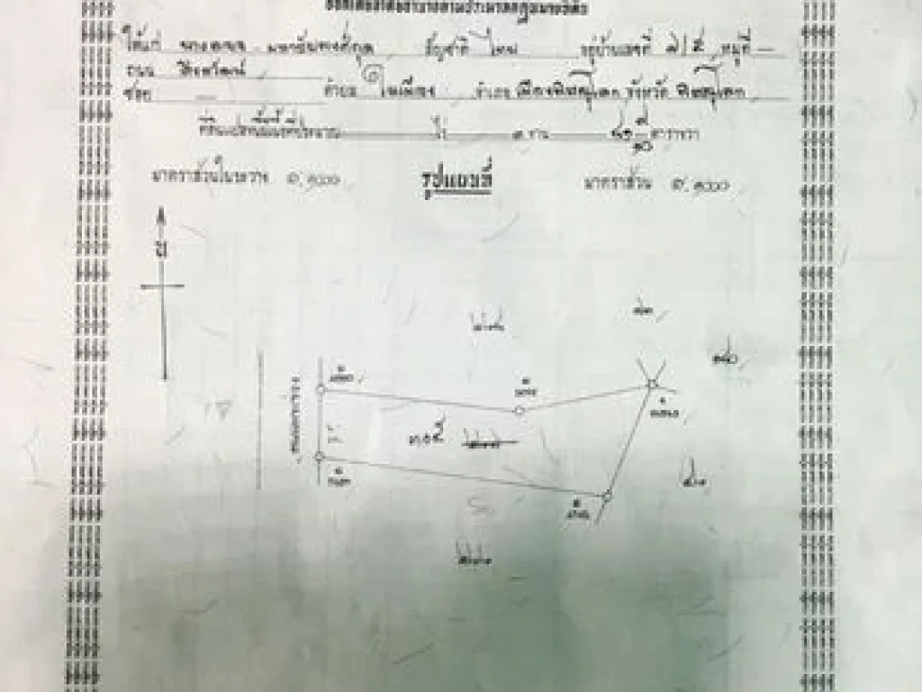 ที่ดินกลางเมือง เนื้อที่ 381ตรว และ เนื้อที่ 617 ตรว เมืองพิษณุโลก