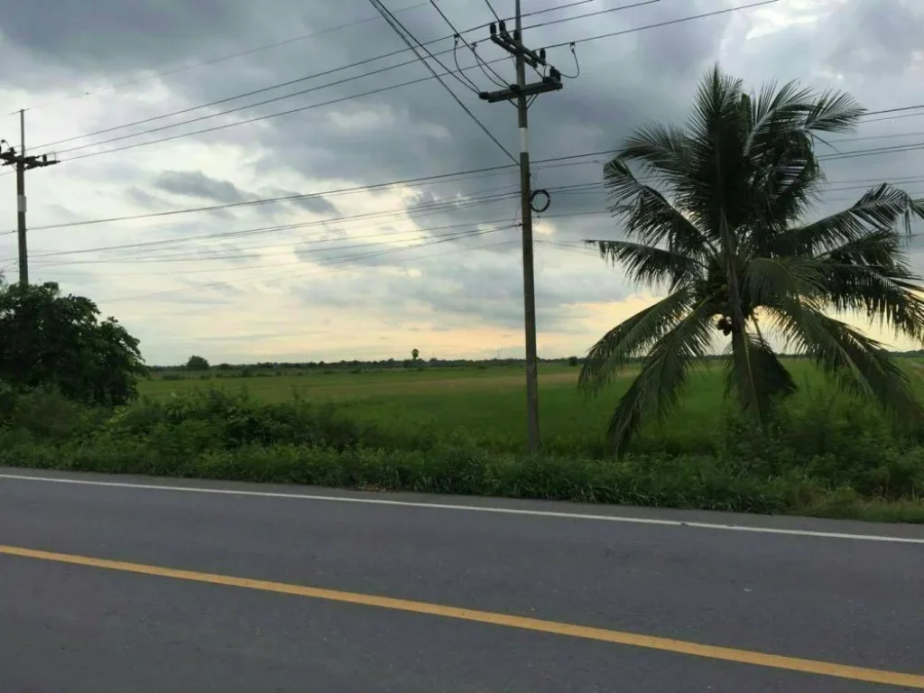 ขายที่ดิน ติดถนน อำเภอลำลูกกา จังหวัดปทุมธานี