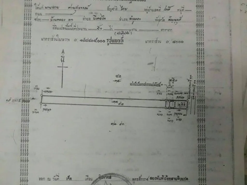 ขายที่ดิน ติดถนน อำเภอลำลูกกา จังหวัดปทุมธานี