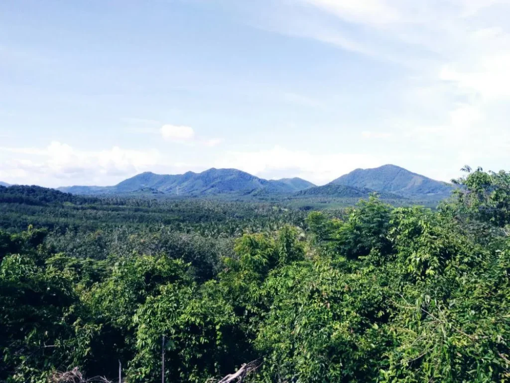 ขายที่ดินสวยบนเกาะยาวใหญ่จังหวัดพังงา