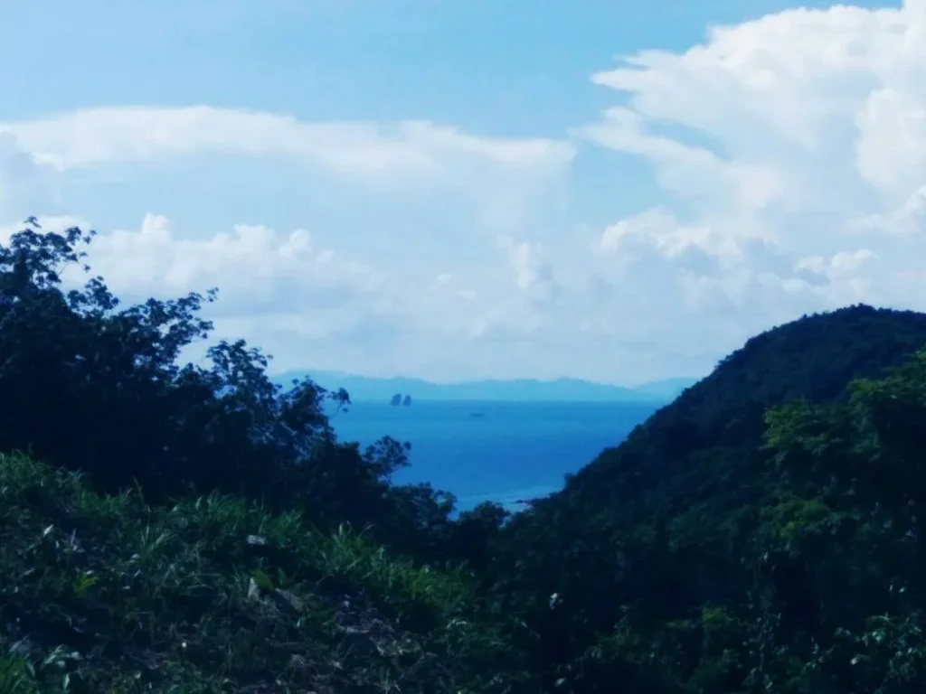 ขายที่ดินสวยบนเกาะยาวใหญ่จังหวัดพังงา