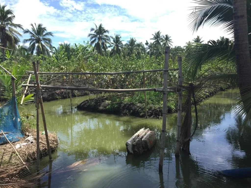 ขายบ้านสวนวัยเกษียณพร้อมที่ดิน 4 ไร่ สามพราน