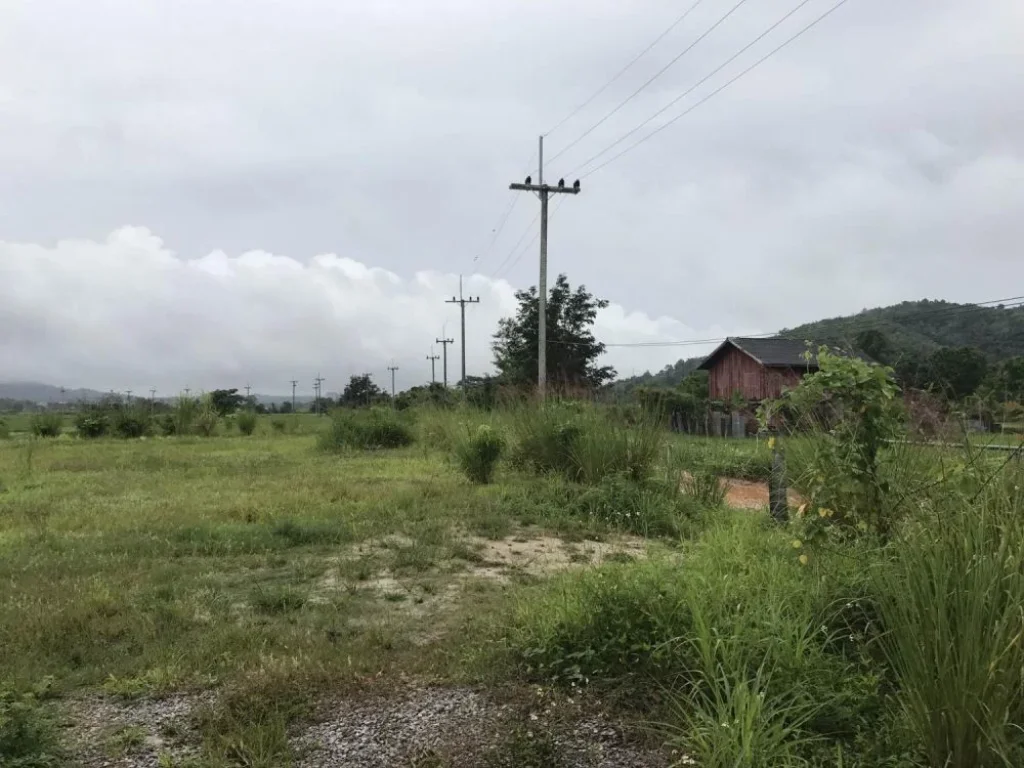 ที่ดินเชียงราย ที่ดินเมืองเชียงราย ที่ดินท่าสุด วัดสันต้นกอก