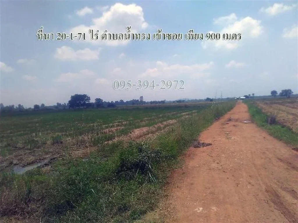 ขาย ที่นา 20-1-71 ไร่ ตำบลน้ำทรง เข้าออกสดวก