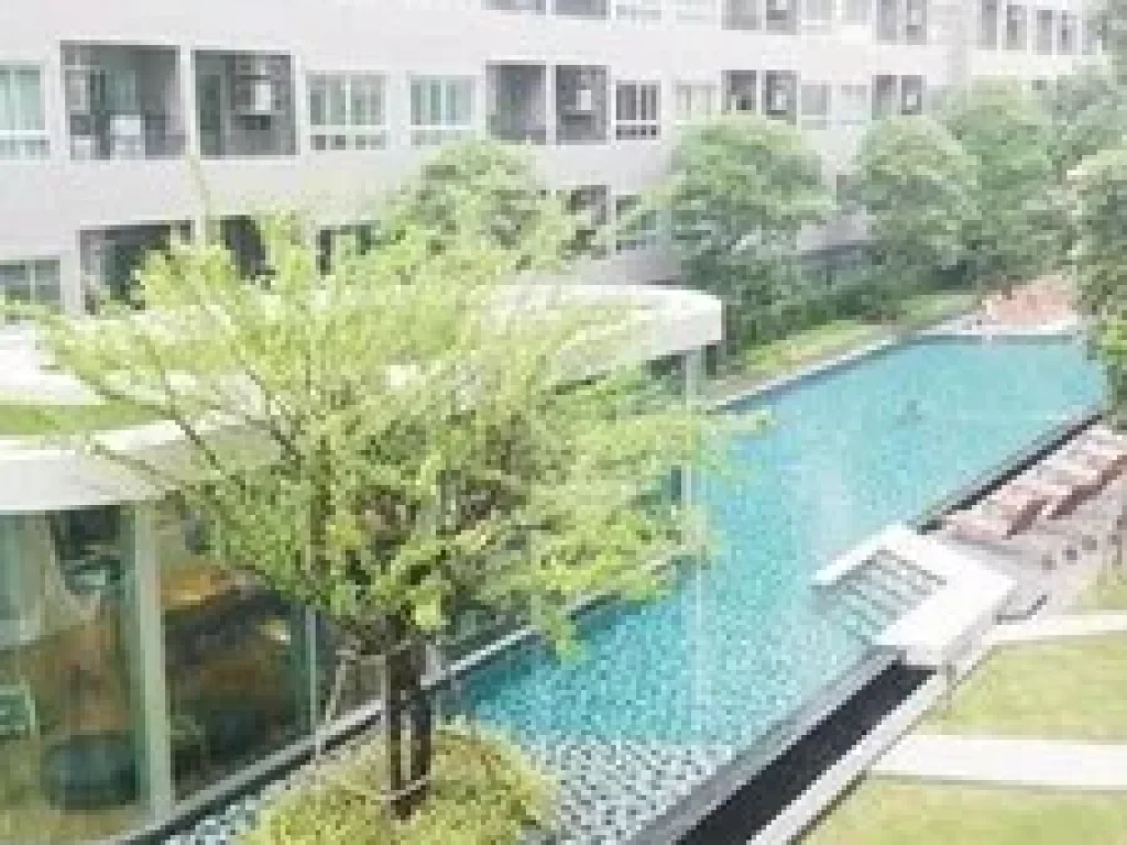 RC0478P ให้เช่า Elio Condo Sukhumvit 64  22 ตรม - ชั้น 3 - ใกล้ BTS ปุณณวิถี  9000 บาท วิวสวนและสระน้ำ