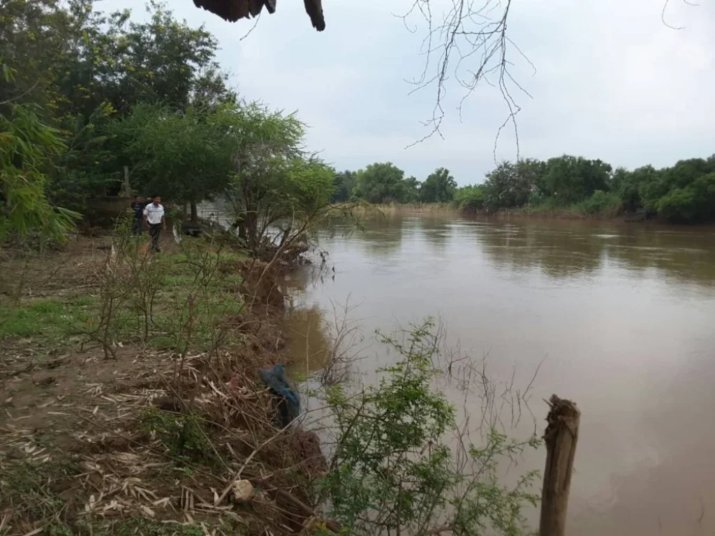 ขายด่วน ที่ดินริมแม่น้ำเจ้าพระยา 2ไร่ 84 ล้าน โฉนดพร้อมโอน ที่ติดถนนดำ