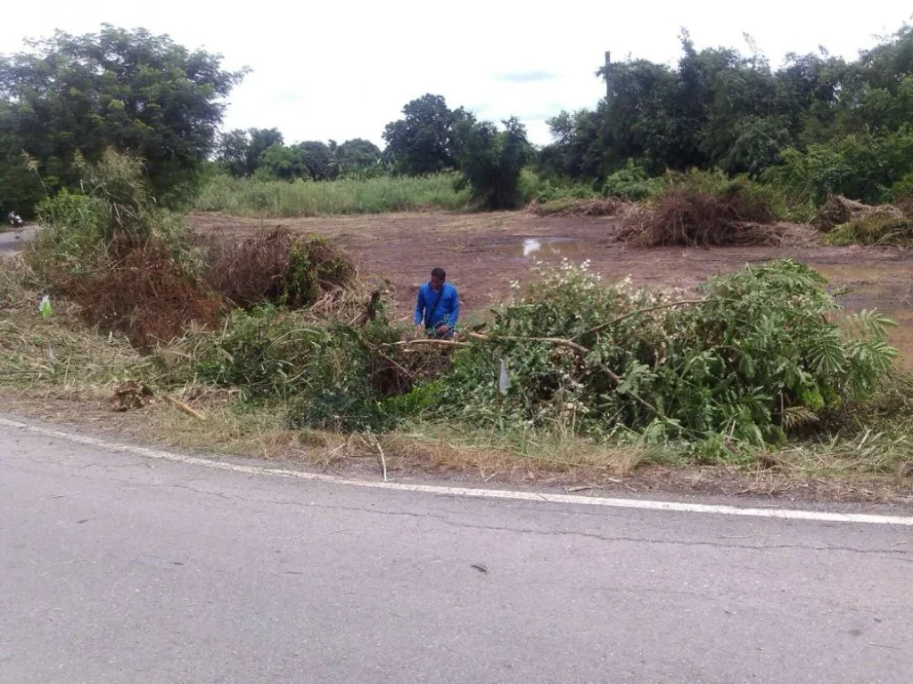 ที่ดินมีโฉนด 2 ไร่ ห่างจาก ถนนหลัก สายเอเชีย 300 เมตร