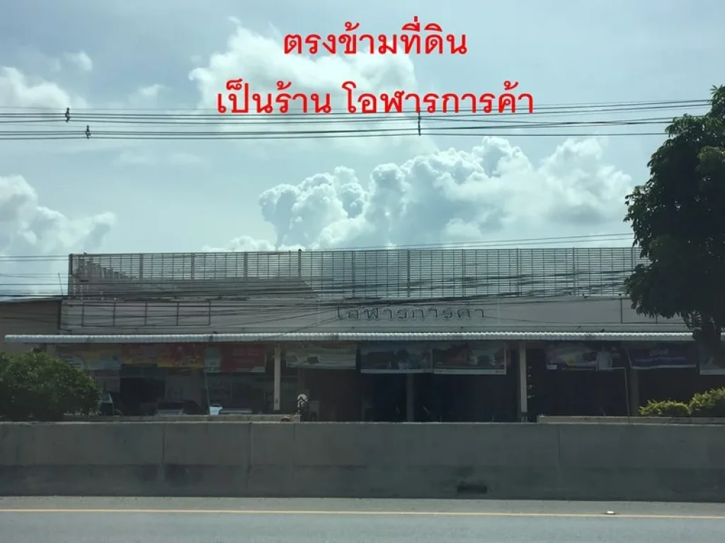 ขายที่ดินชะอำ ใกล้สี่แยกหนองเผาถ่าน 500เมตร ตรงข้ามโรงแรมจันทิมา บูติก 4ไร่ 20ตารางวา ไร่ละ7ล้าน 0949263629