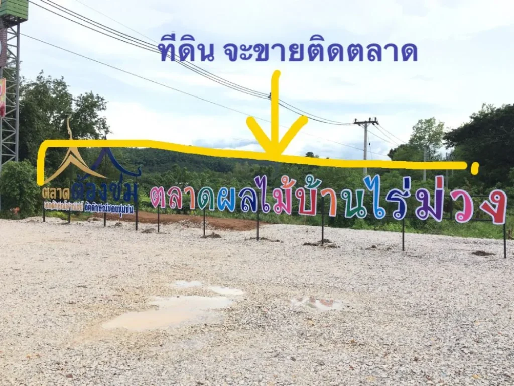 ที่ดินติดถนนใหญ่ 203 เลย ภูเรือ ติดตลาดนัดไร่ม่วง