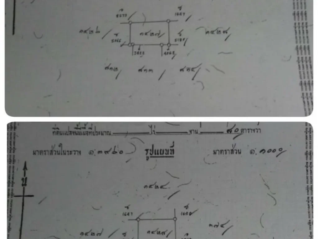 ขาย ที่ดิน ซอยลาดปลาดุก บางบัวทอง นนทบุรี เนื้อที่ 160 ตรวา 24 ลบ