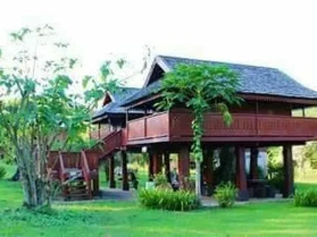 ขาย ที่ดิน รีสอร์ท สะเมิงใต้ ติดปางดะ เชียงใหม่ 6-1-58 ไร่ 25 ล้านบาท Resort For Sale in Chiang mai 0616494151